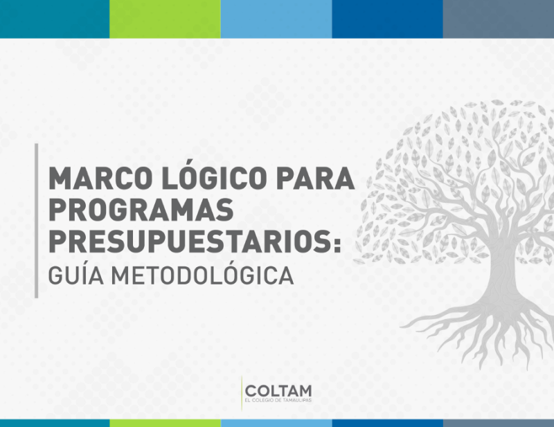 Marco lógico para programas presupuestarios: guía metodológica